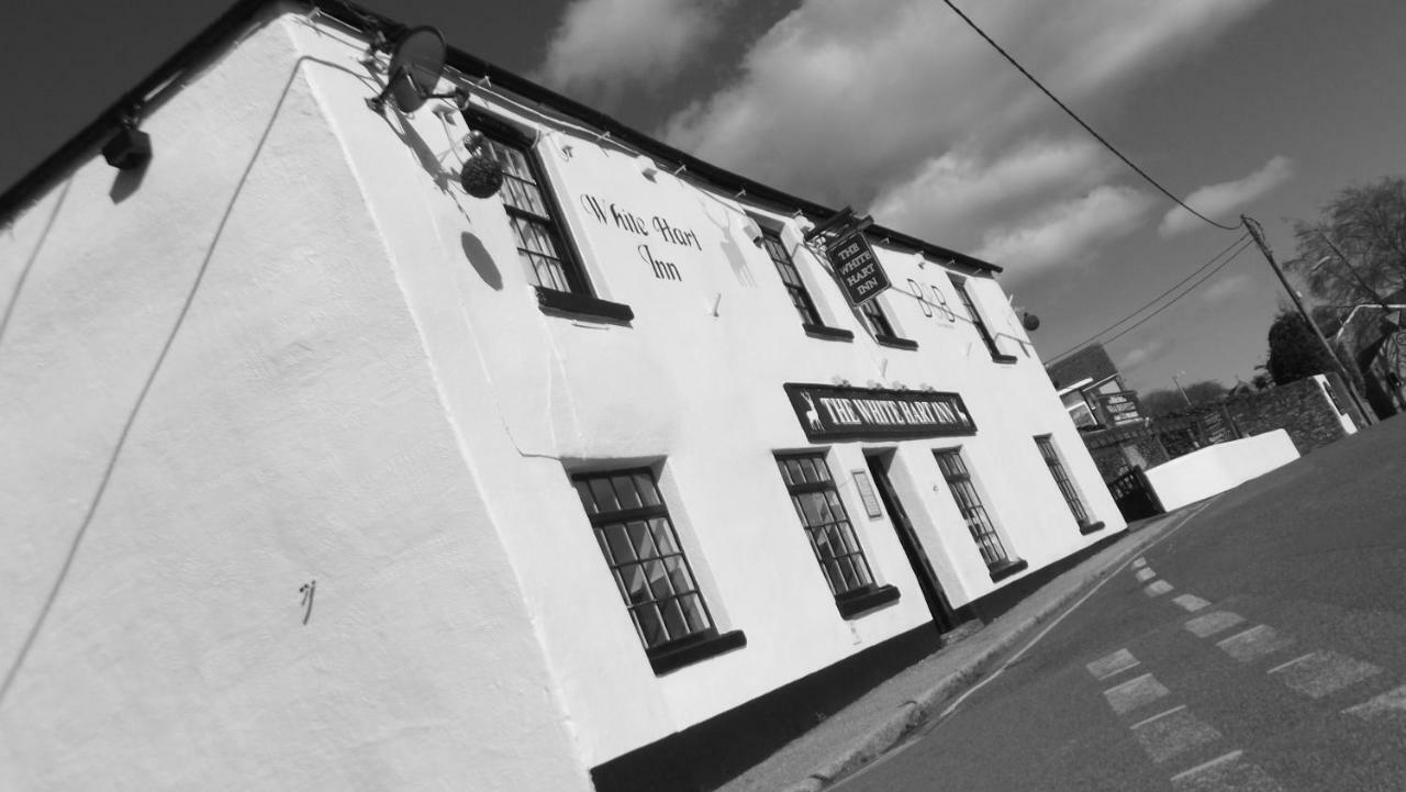 بودمين White Hart Inn المظهر الخارجي الصورة